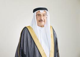 نائب رئيس مجلس الوزراء.