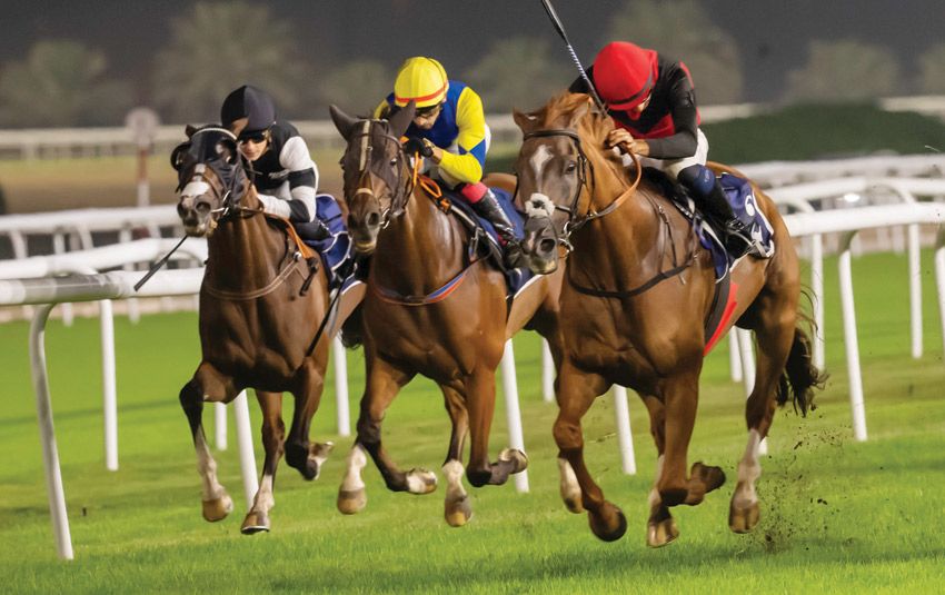 سباقات حافلة بالإثارة على كؤوس السباق الثامن