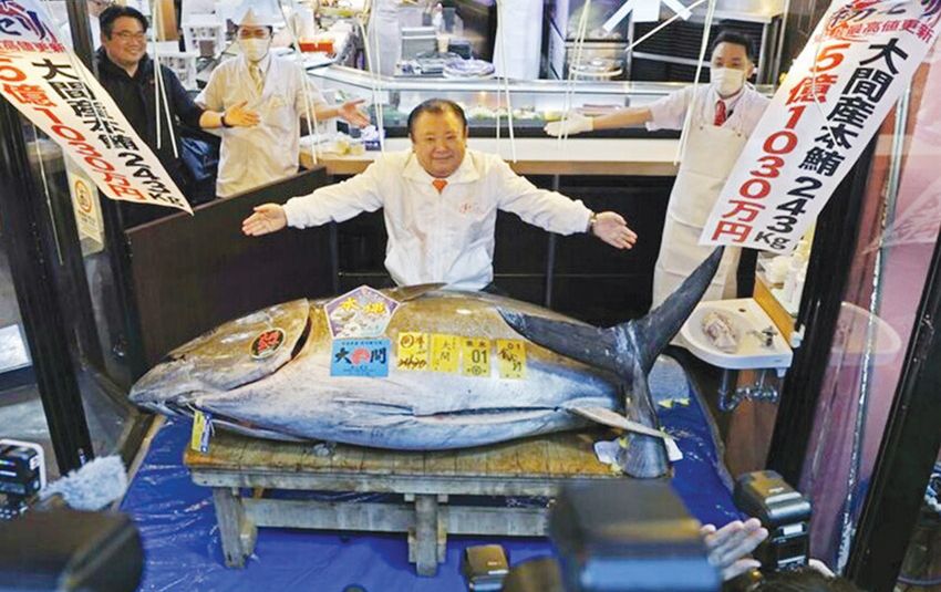 بيع سمكة تونة زرقاء لقاء 3,27 ملايين دولار ضمن مزاد في اليابان