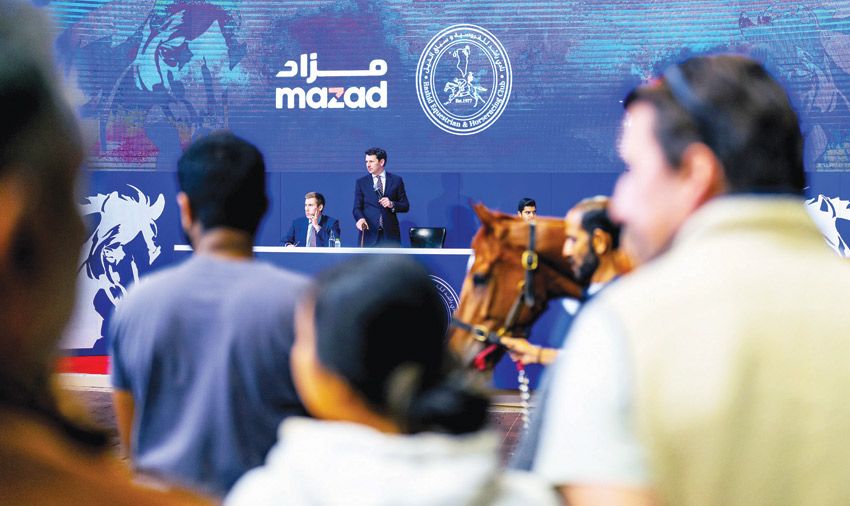 Đấu giá ngựa ảo đầu tiên tại Bahrain: Cơ hội sở hữu chiến mã cùng khuyến mãi i9bet casino